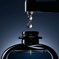 Best Long Lasting Perfumes: How to Make Your Fragrance Stay All Day - Scentleo