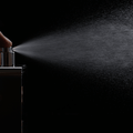 Perfume Trends 2026: The Fragrances Everyone Is Loving - Scentleo