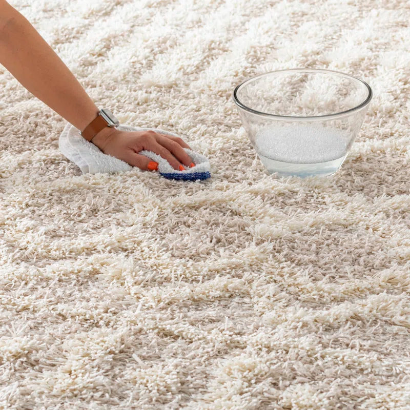 Lurdes Geometric Area Rug