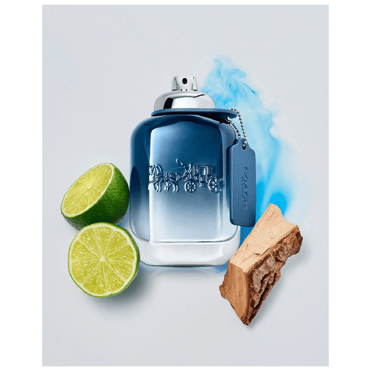 Coach Blue Eau de Toilette for Men - Scentleo