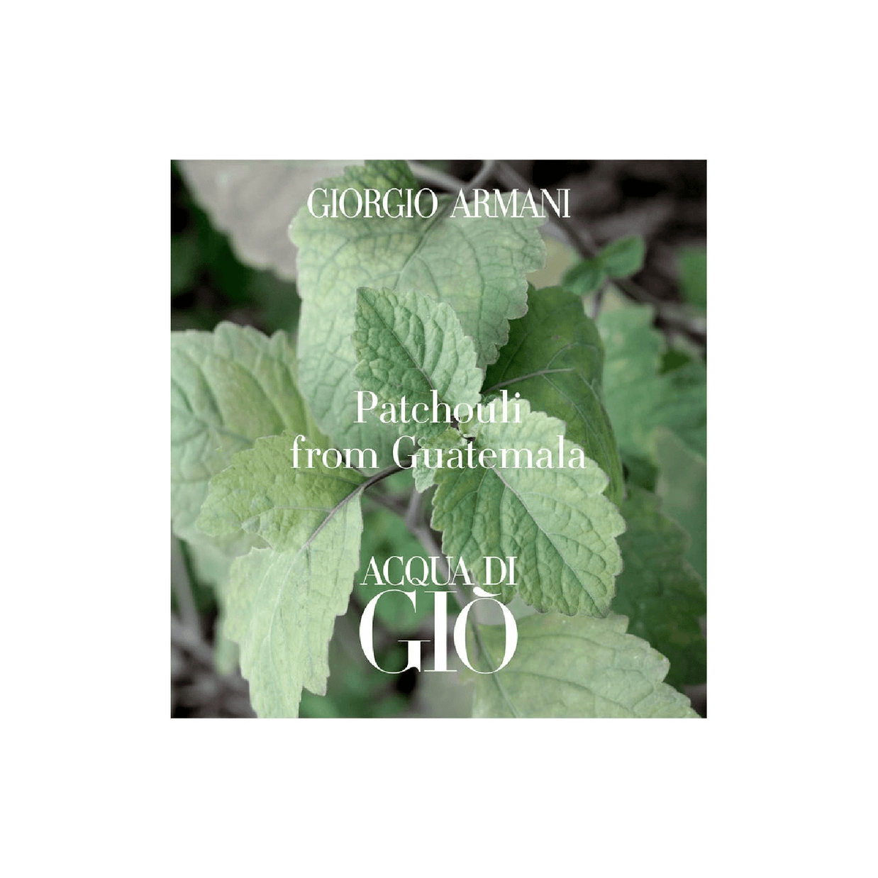 Giorgio Armani Acqua Di Gio Profondo Eau de Parfum for Men - Scentleo
