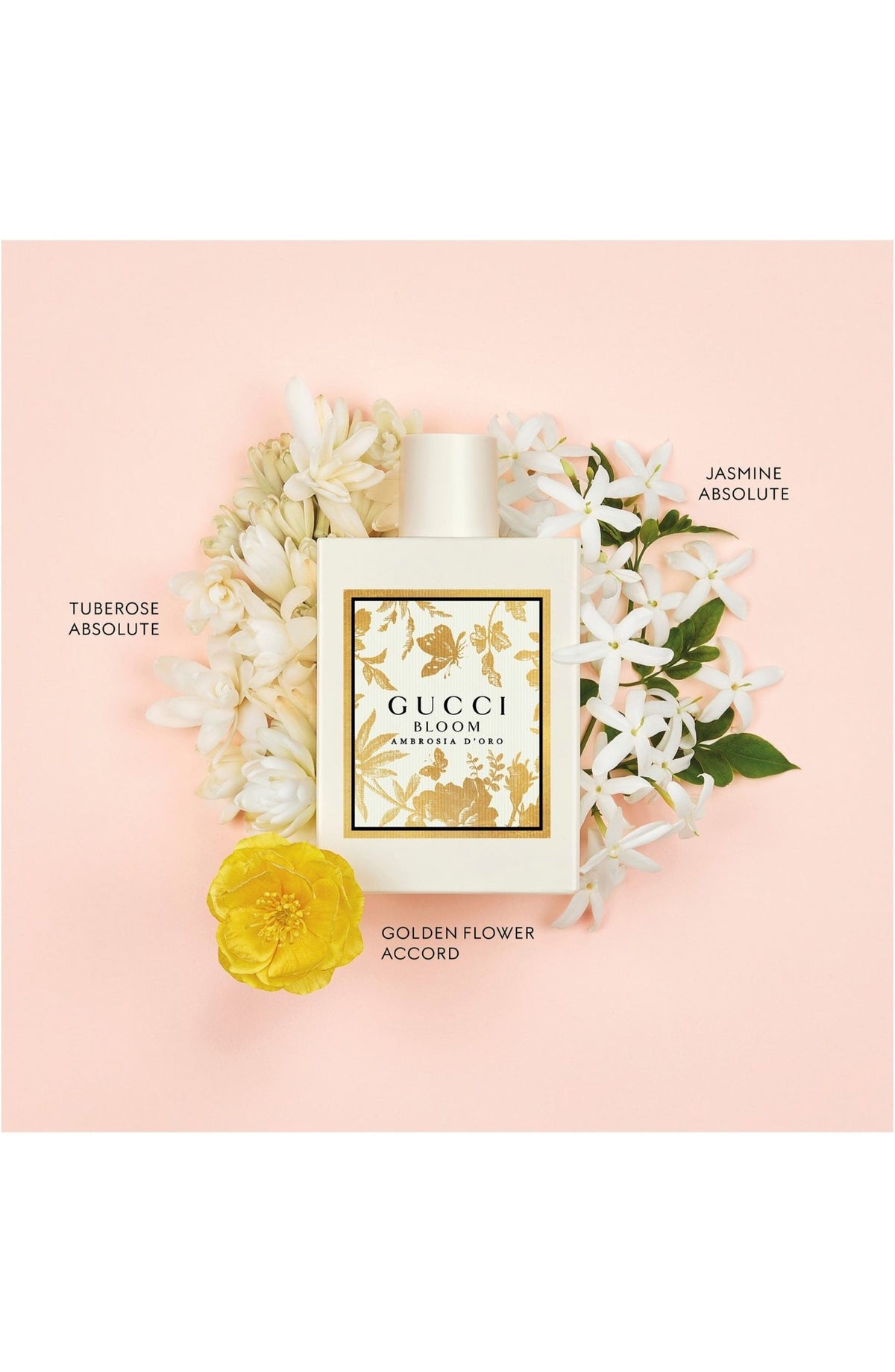 Gucci Bloom Ambrosia d'Oro Eau de Parfum - Scentleo